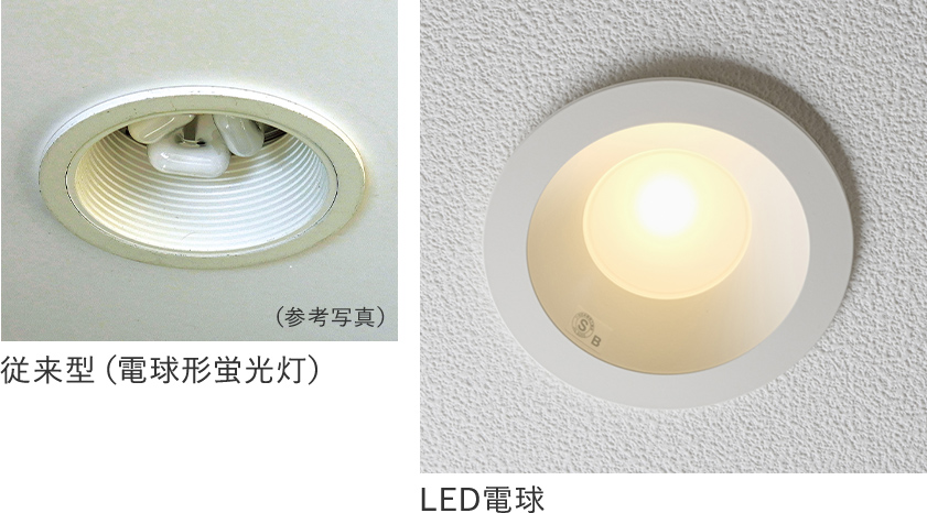 従来型・LED電球